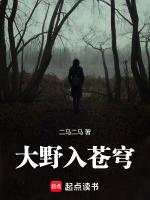 大野入苍穹猜一准确数字