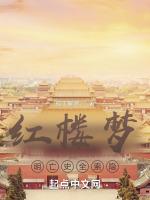 红楼梦 明末历史