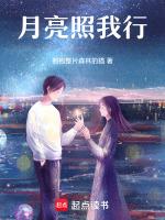月亮照亮我的心是什么意思