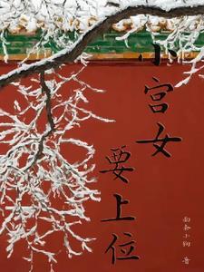 小宫女和皇上的