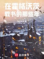 我在霍格沃茨当助教的那些年txt