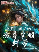 斗罗大陆魂尊是几级
