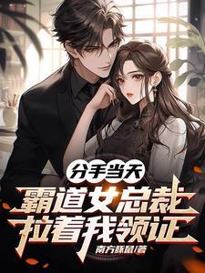 京城悍匪开局闪婚御姐女总裁百度百科