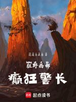 狂野西部剧情