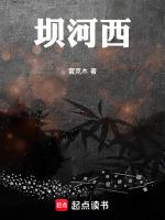 导航去河西坝