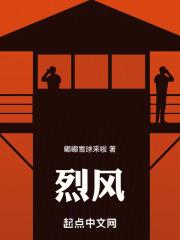 烈风马丁