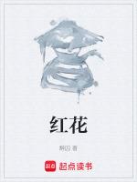 红花郎红十53度的酒多少钱一瓶