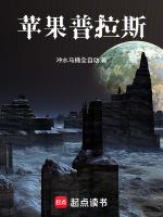 苹果普拉斯是什么意思