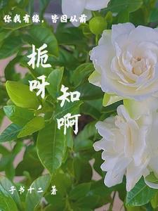 这个字是什么意思