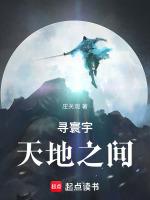 寰宇意思