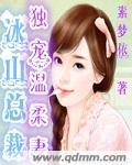 冰山总裁宠妻无道