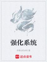 强化系统集成