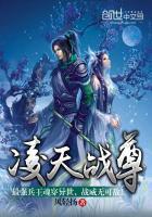 凌天战尊txt精校完整版