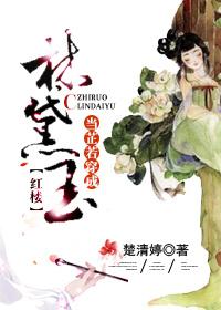 书穿林黛玉红楼