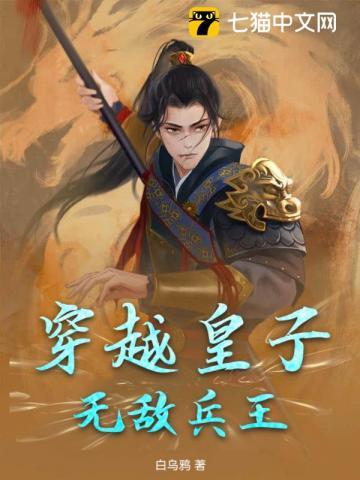 穿越皇子无敌兵王免费阅读全文