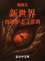 网游之新界传说全本