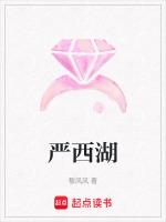 严西湖规划