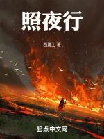 明灯照夜行