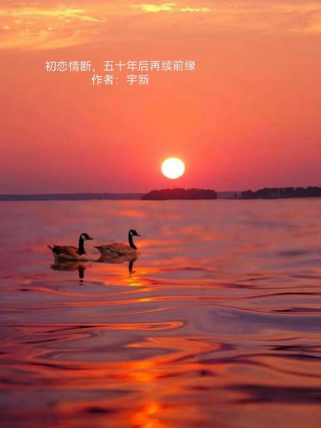 几十年的初恋