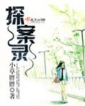 稽查司探案录