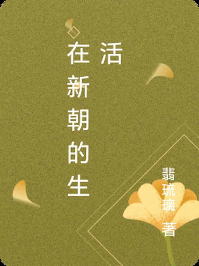 新朝对后世的影响