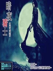 暗夜骑士电影播放在线观看