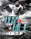 我是球魔笔趣阁