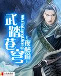 武踏苍穹顶点