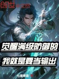 觉醒满级防御的我就是要当输出!(七度啤酒)