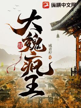 大魏疯王免费