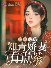 重生七零知青巧致富