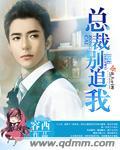 总裁追妻别放手的作者