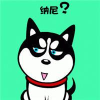 我的xl翻译