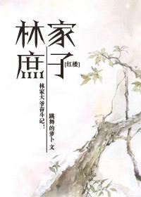 红楼之林家庶子瑾轩