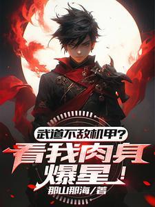 武道太难?可我有面板啊!境界设定