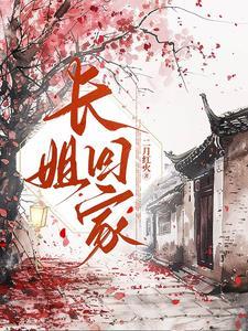 长姐回家苏婉青男主是谁