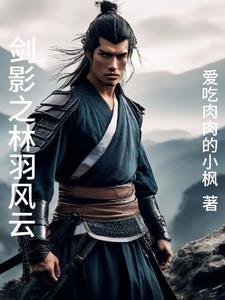 仕途风云林羽