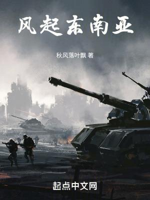 风起东南亚 顶点电脑版