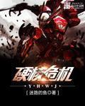 硬核危机txt精校版