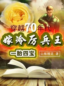 嫁冷厉兵王一胎四宝穿越70年代大结局