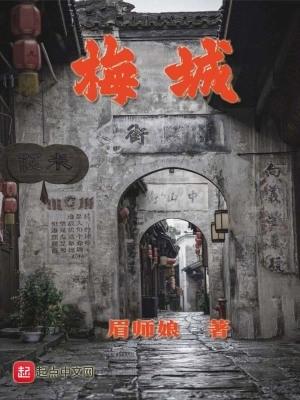 梅城镇有多少人口