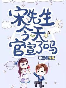 宋先生是谁呀