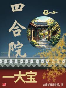 四合院一大宝儿全文阅读