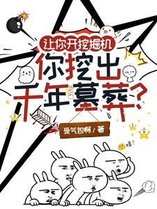开挖掘机能赚多少