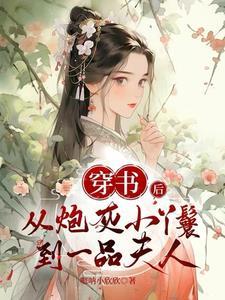 高家丫鬟书包网