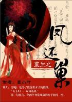 重生之凤还巢作者