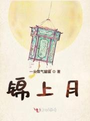 锦上月鸣府交房时间