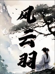 风云羽毛球 大满贯