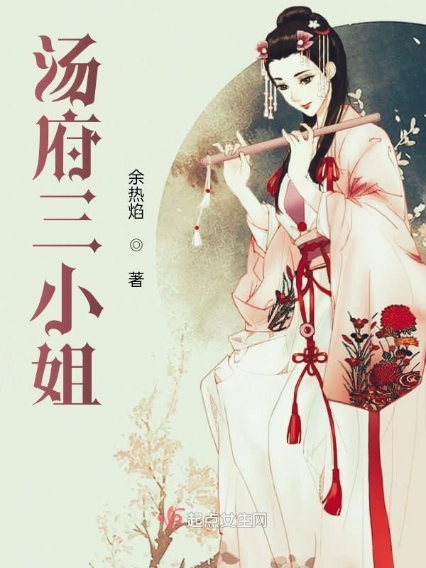 汤小姐二胡独奏