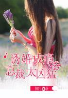 总裁诱妻成瘾全文阅读免费